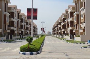 Ozone City place picture