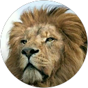 LALIT TIWARI profile picture
