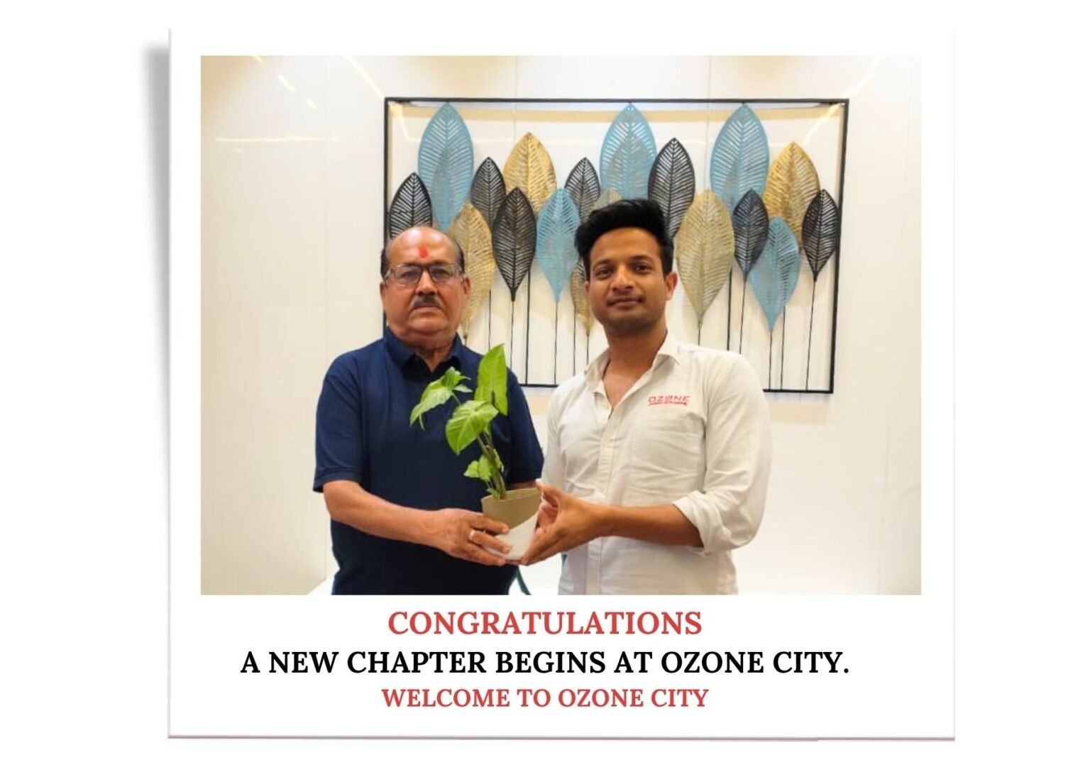 Ozone city reviews - Views CSR